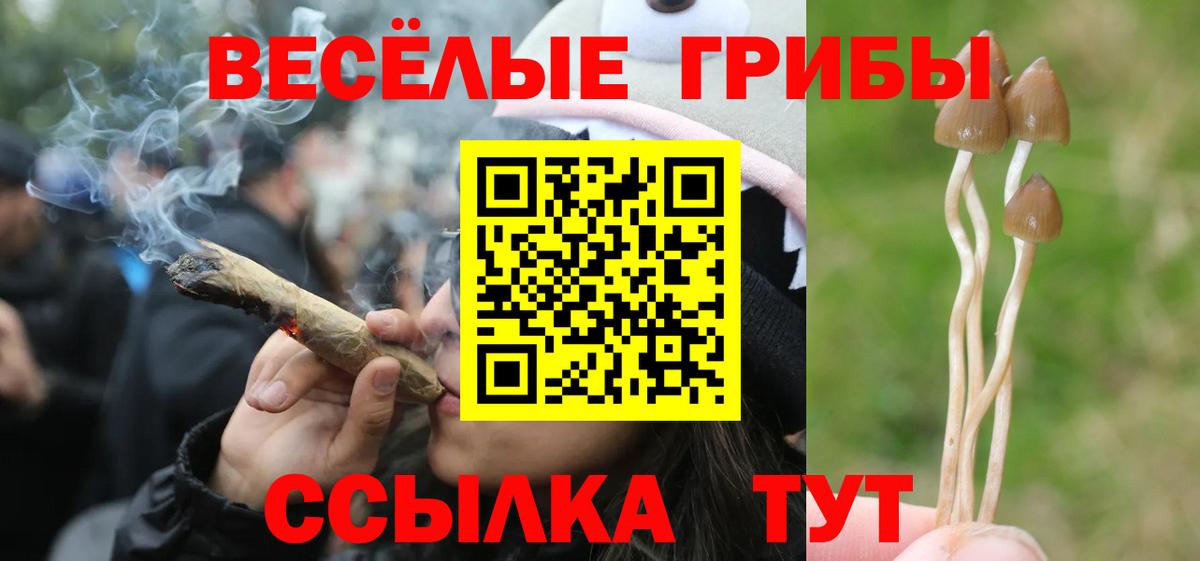 Советский  Псилоцибиновые грибы Psilocybine cubensis  Галлюциногенные грибы мухоморы  Вход с VPN 